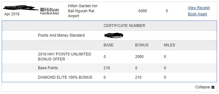 Hilton Garden Inn Bali earnings